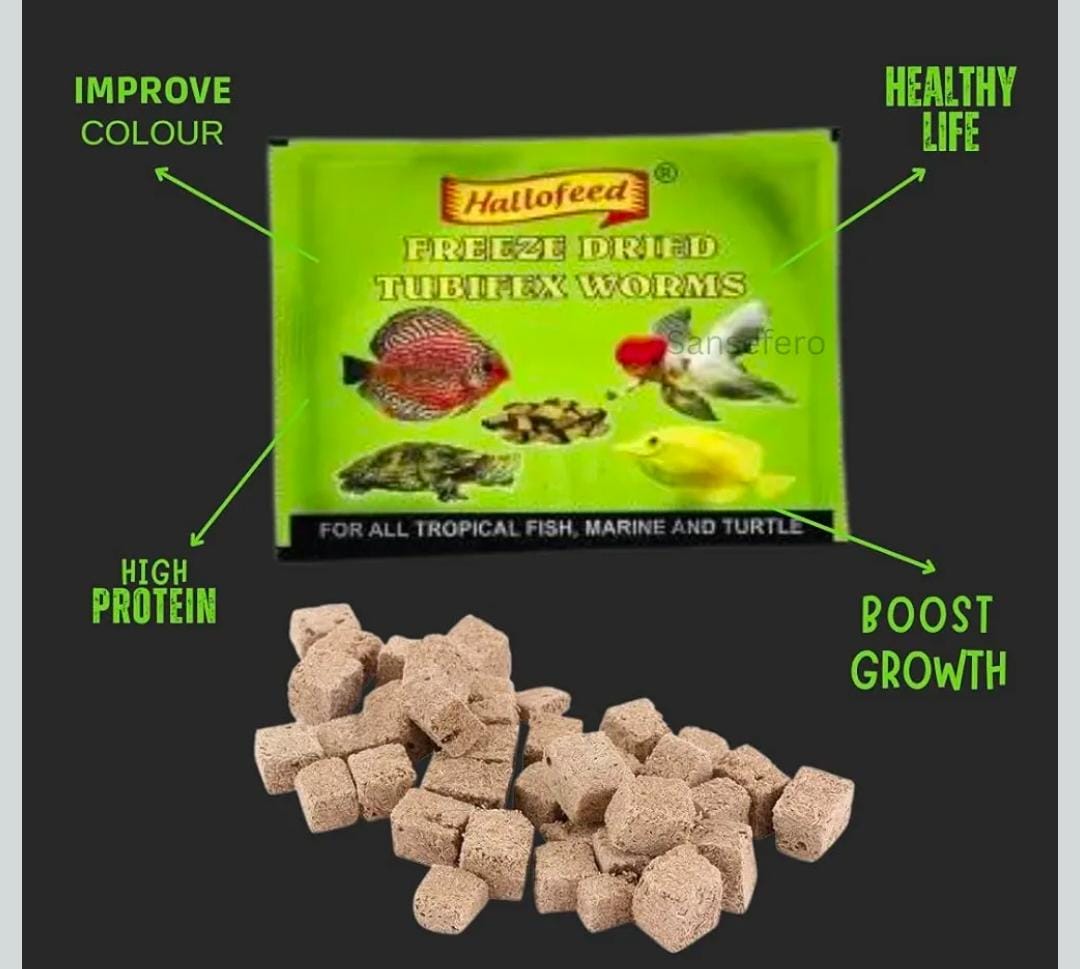 Freeze Dried Tubifex Worms 20grms